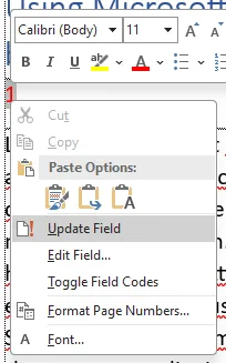 The PAGE field in Word - It shows the current page number